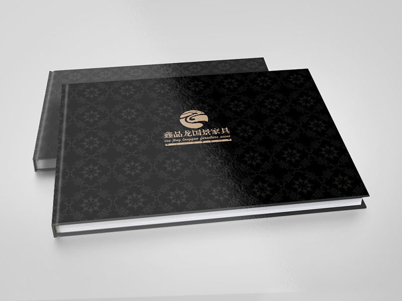 鑫金龍畫冊設計